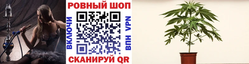 Где найти наркотики Салаир Амфетамин  ГАШ  КОКАИН 