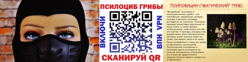 где купить наркоту  Салаир  Галлюциногенные грибы MAGIC MUSHROOMS 